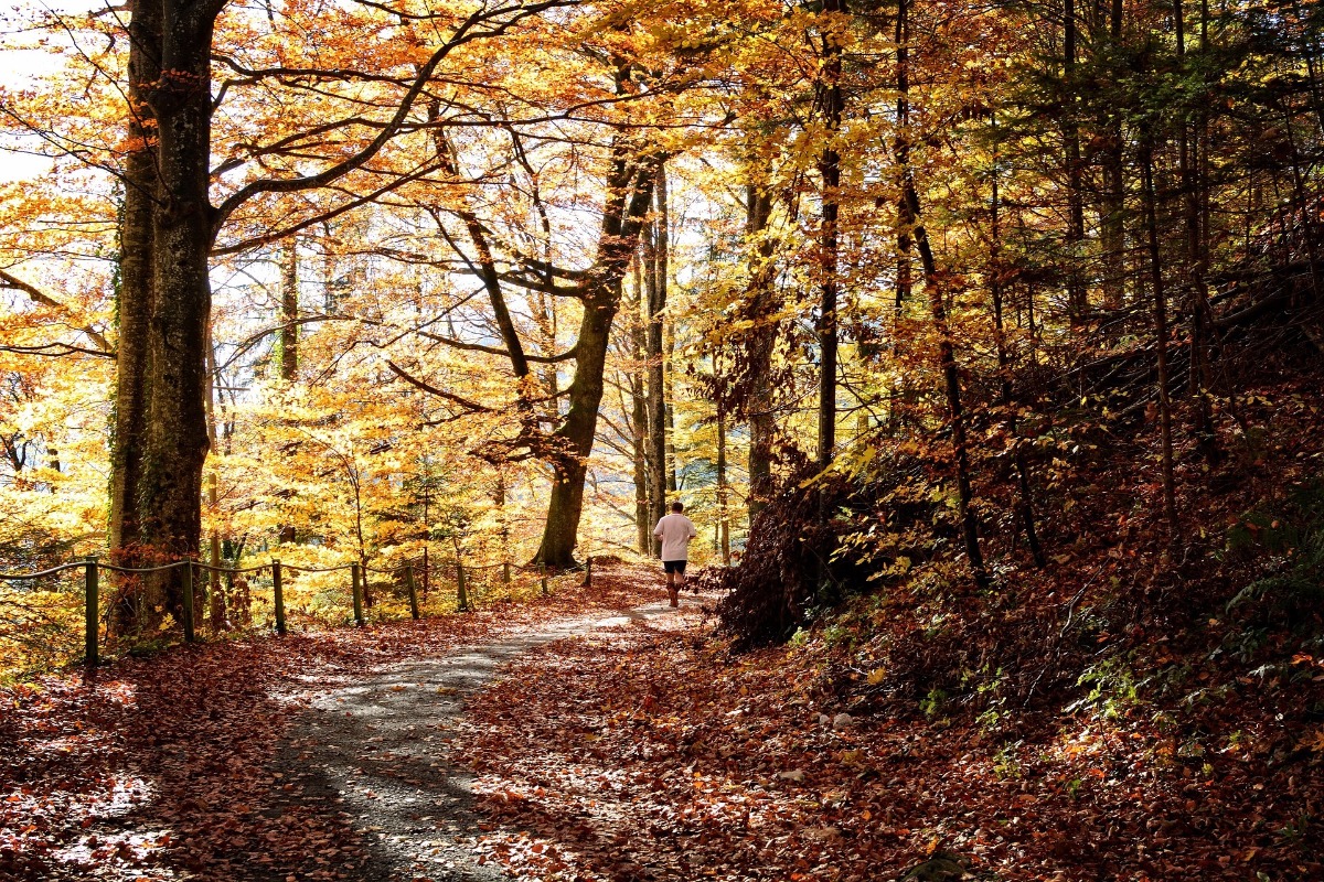 Sport im Herbst